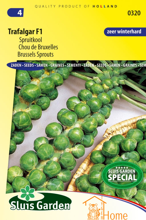 Trafalgar F1 Spruitkool Zaden: Kweek je eigen heerlijke en voedzame spruitjes. Deze spruitjes zijn perfect voor een rijke, gezonde oogst vol smaak.