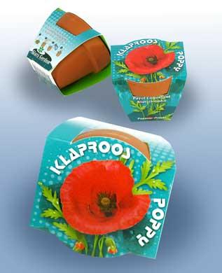 100 stuks Klaproos – Poppy in terracotta pot | €149 incl. verzendkosten