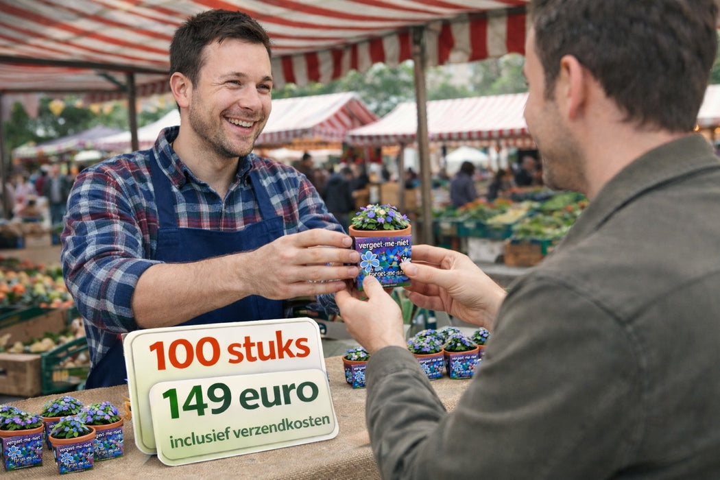 100 myosotis en pot de terre cuite | 149 € frais de port inclus