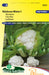 Walcheren Winter 5 Bloemkool Zaden: Kweek winterharde, voedzame en heerlijke bloemkool in je eigen tuin. Perfect voor stevige en gezonde wintergerechten.