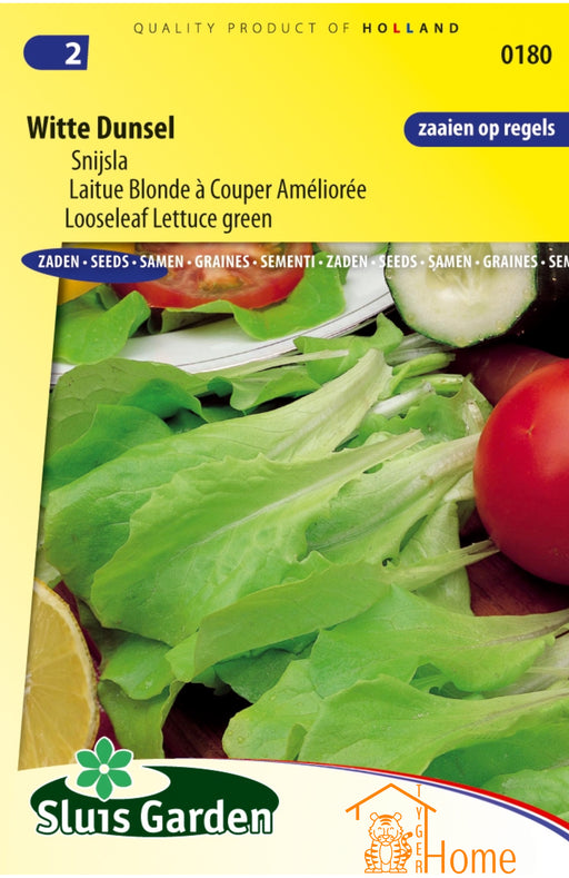 Witte Dunsel Snijsla Zaden: Kweek voedzame, heerlijke en knapperige snijsla in je eigen tuin. Perfect voor frisse salades en gezonde maaltijden.