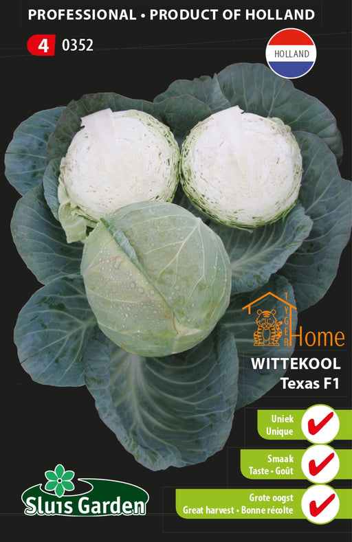 Witte Kool Texas F1 Zaden: Voor een rijke, voedzame en smaakvolle oogst. Perfect voor het kweken van stevige en gezonde wittekool in je eigen tuin