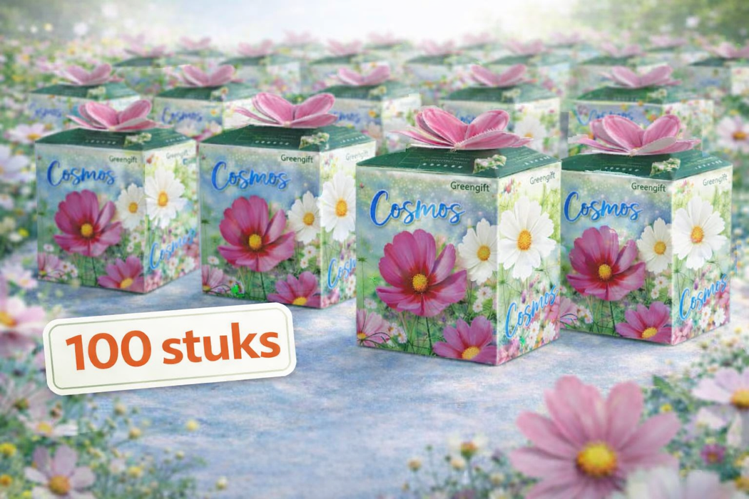 100 graines de cosmos Greengift | 99 € frais de port inclus