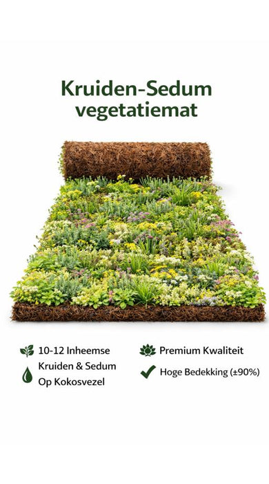 Tapis de végétation Herbes-Sedum 10m² – Toiture végétalisée prête à l'emploi – 50% Sedum & 50% Herbes indigènes – Tapis de toiture végétalisée Premium