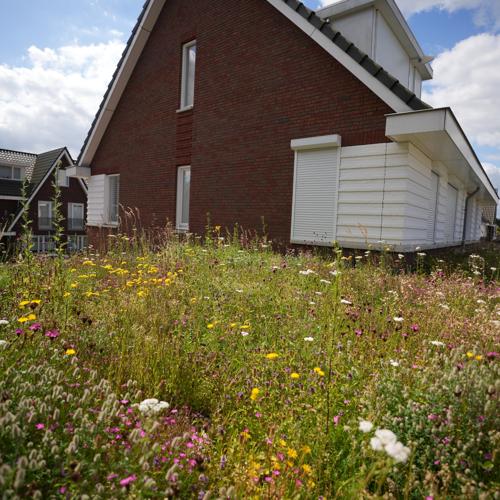 Compleet Groendakpakket 10 m² – Inclusief kruiden-sedummat, drainagemat, beschermdoek, substraatmatten, daktuinsubstraat en basalt split