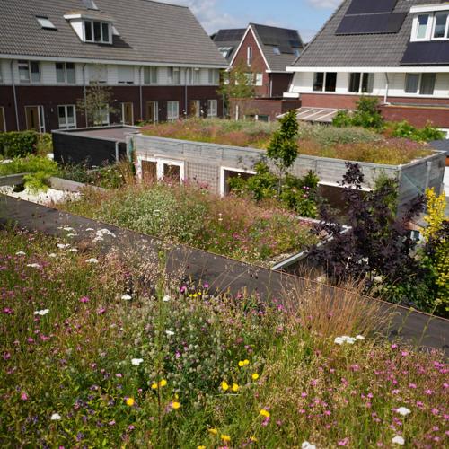 Compleet Groendakpakket 10 m² – Inclusief kruiden-sedummat, drainagemat, beschermdoek, substraatmatten, daktuinsubstraat en basalt split