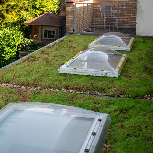 Leichtgewichtiger Sedumdach 10m² – Fertiges Gründach System für Flachdach – Sedum Dach Komplettpaket