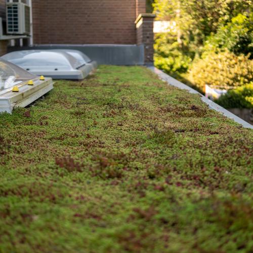 Leichtgewichtiger Sedumdach 10m² – Fertiges Gründach System für Flachdach – Sedum Dach Komplettpaket