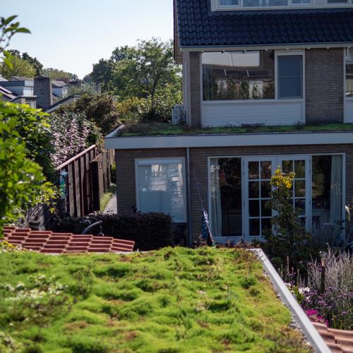 Leichtgewichtiger Sedumdach 10m² – Fertiges Gründach System für Flachdach – Sedum Dach Komplettpaket